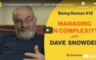 MANAGING IN COMPLEXITY – AN INTERVIEW WITH PROF. DAVE SNOWDEN